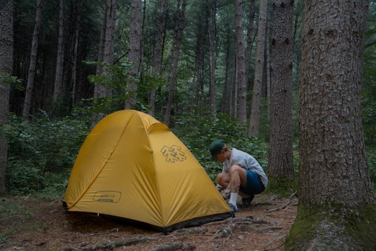 Eco-Friendly Outdoor Activities: Sustaining Nature While Seeking Adventure